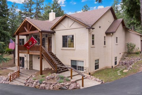 Single Family Residence in Woodland Park CO 1145 Windflower Lane.jpg