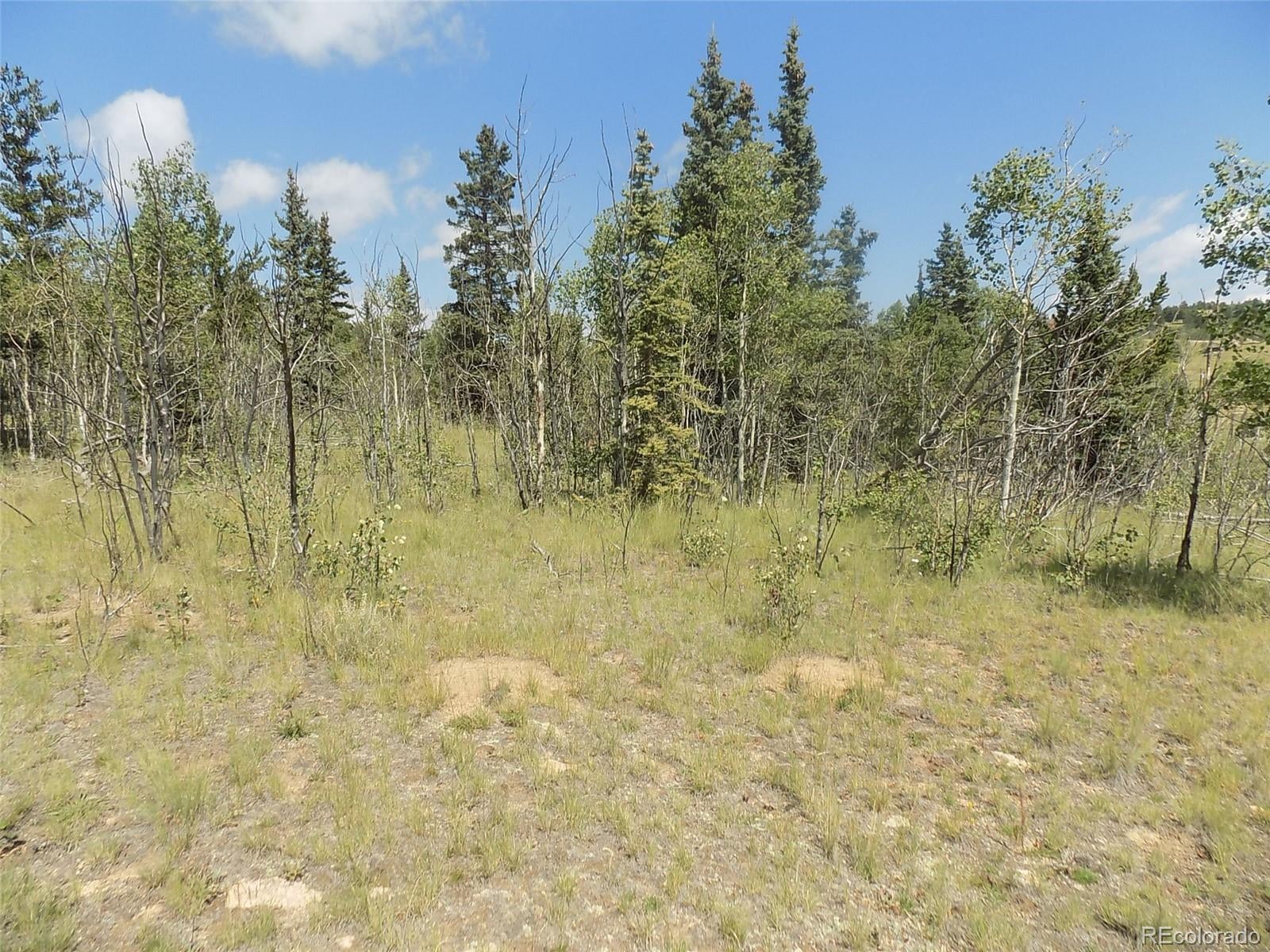 Photo 1 of 9 — 1070 Warrior Circle, Como, CO 80432