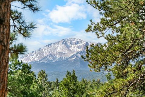 156 E Ridge Drive Woodland Park CO 80863