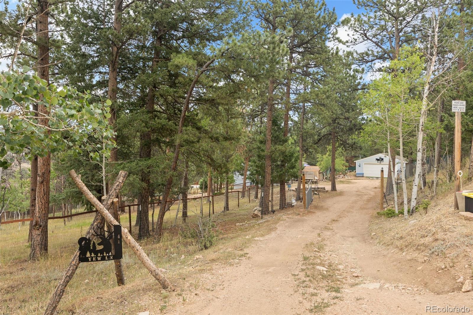 41 Yew Lane, Bailey, CO, 80421 4 41 Yew Lane