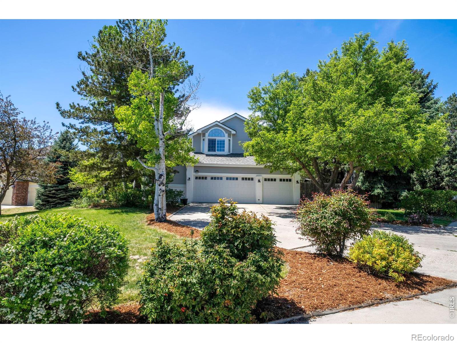1517 Ridgeview Drive
