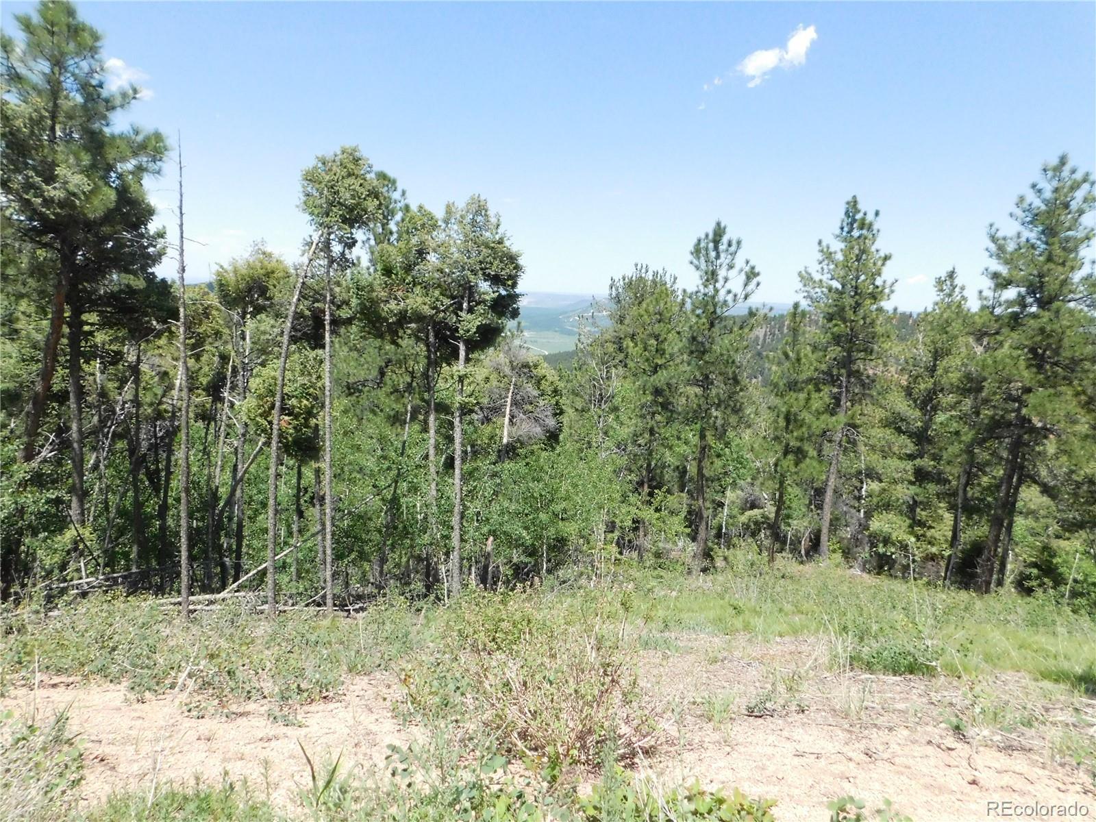 13670 Spruce Creek Circle