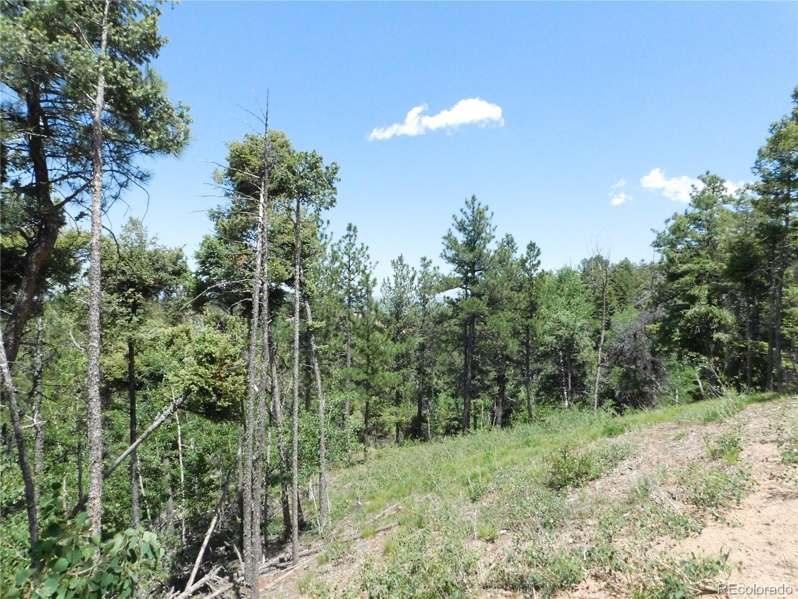 13670 Spruce Creek Circle