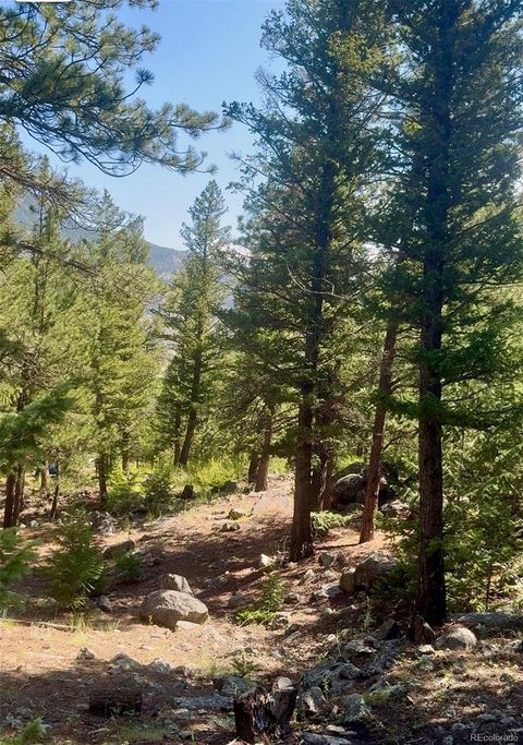 0 Alvarado Road Georgetown CO 80444
