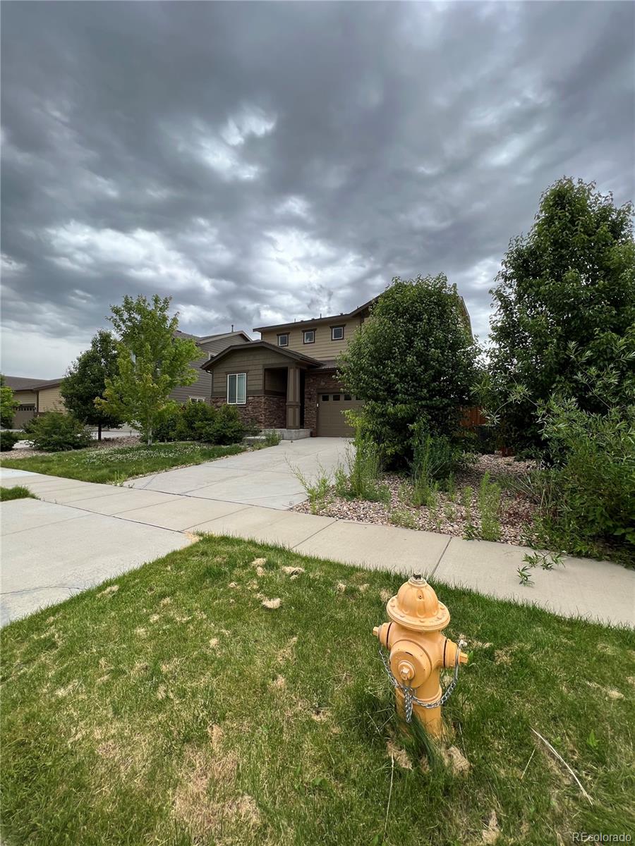 25605 E Maple Place