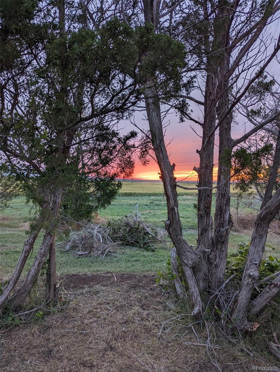 31847 US Highway 385