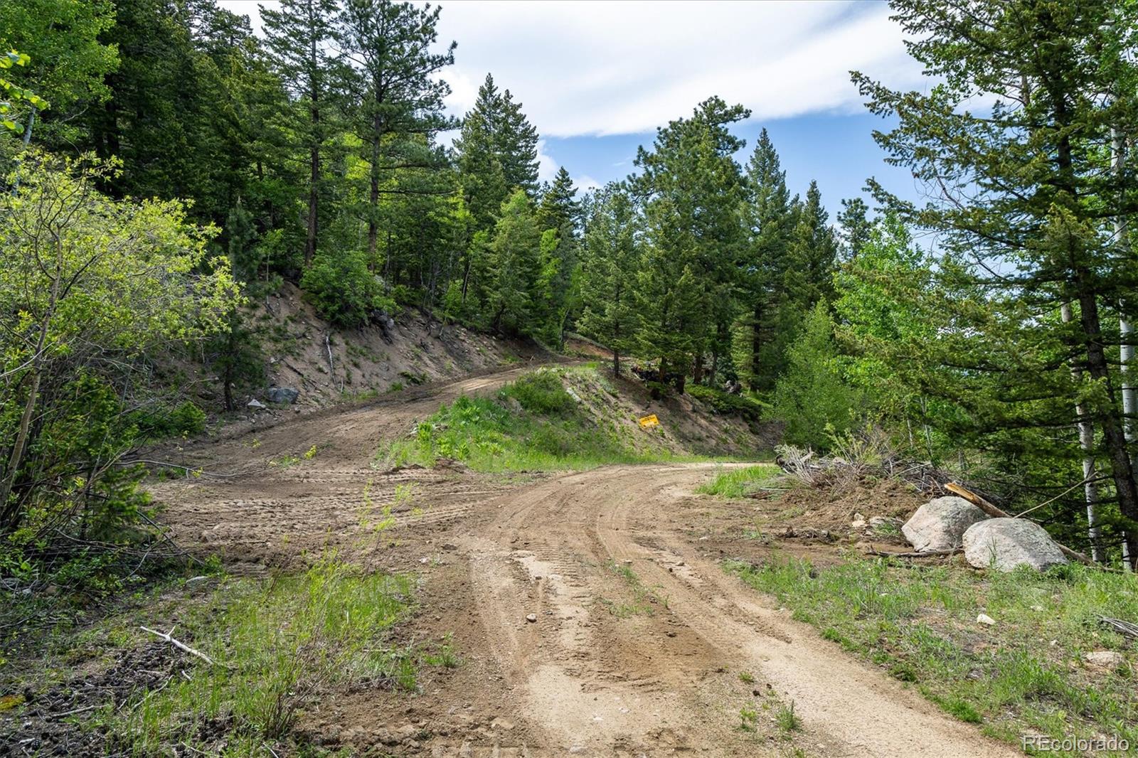 1546 Chute Road