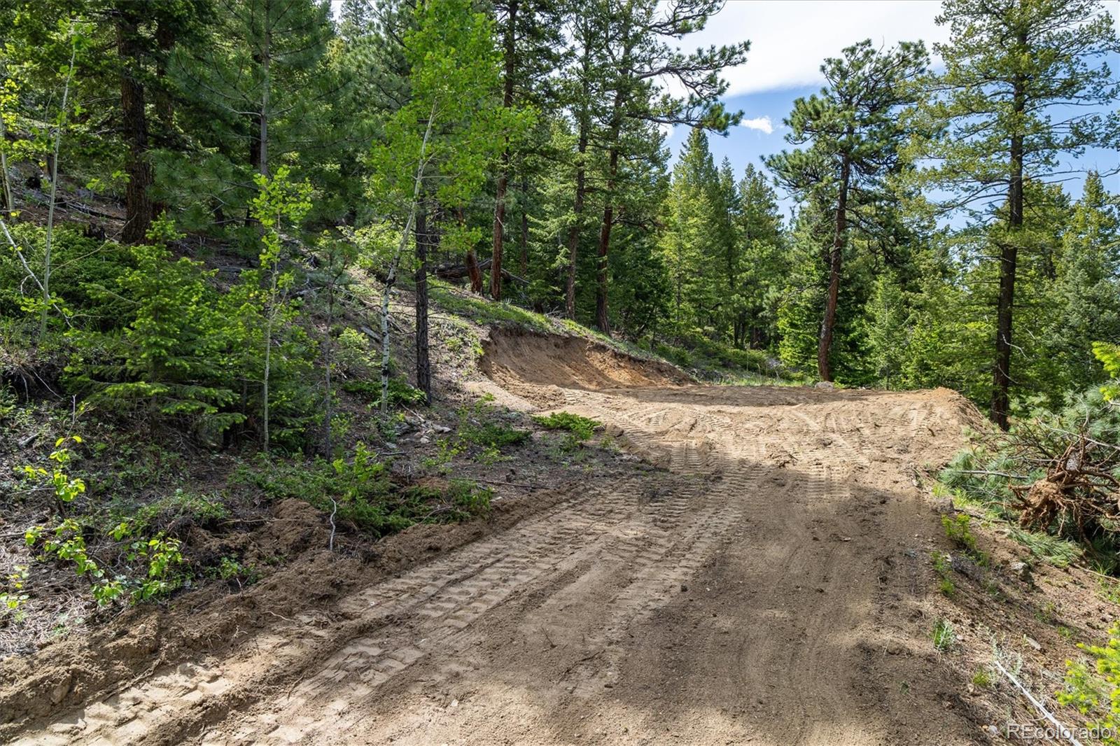 1546 Chute Road