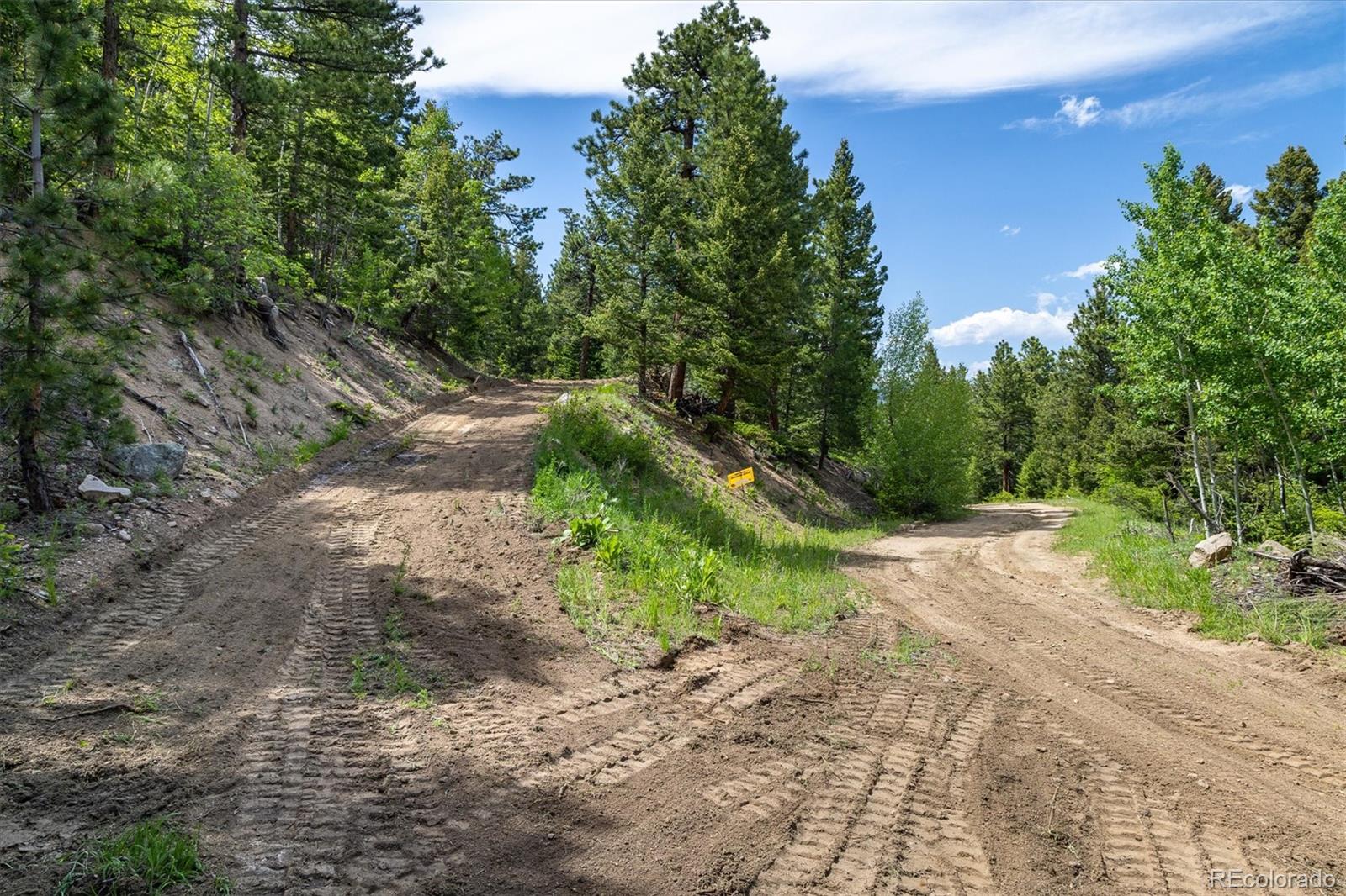1546 Chute Road