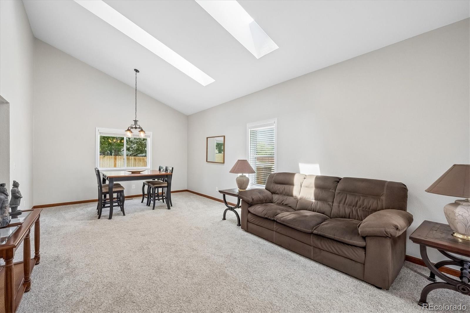 10003 Armadillo Drive