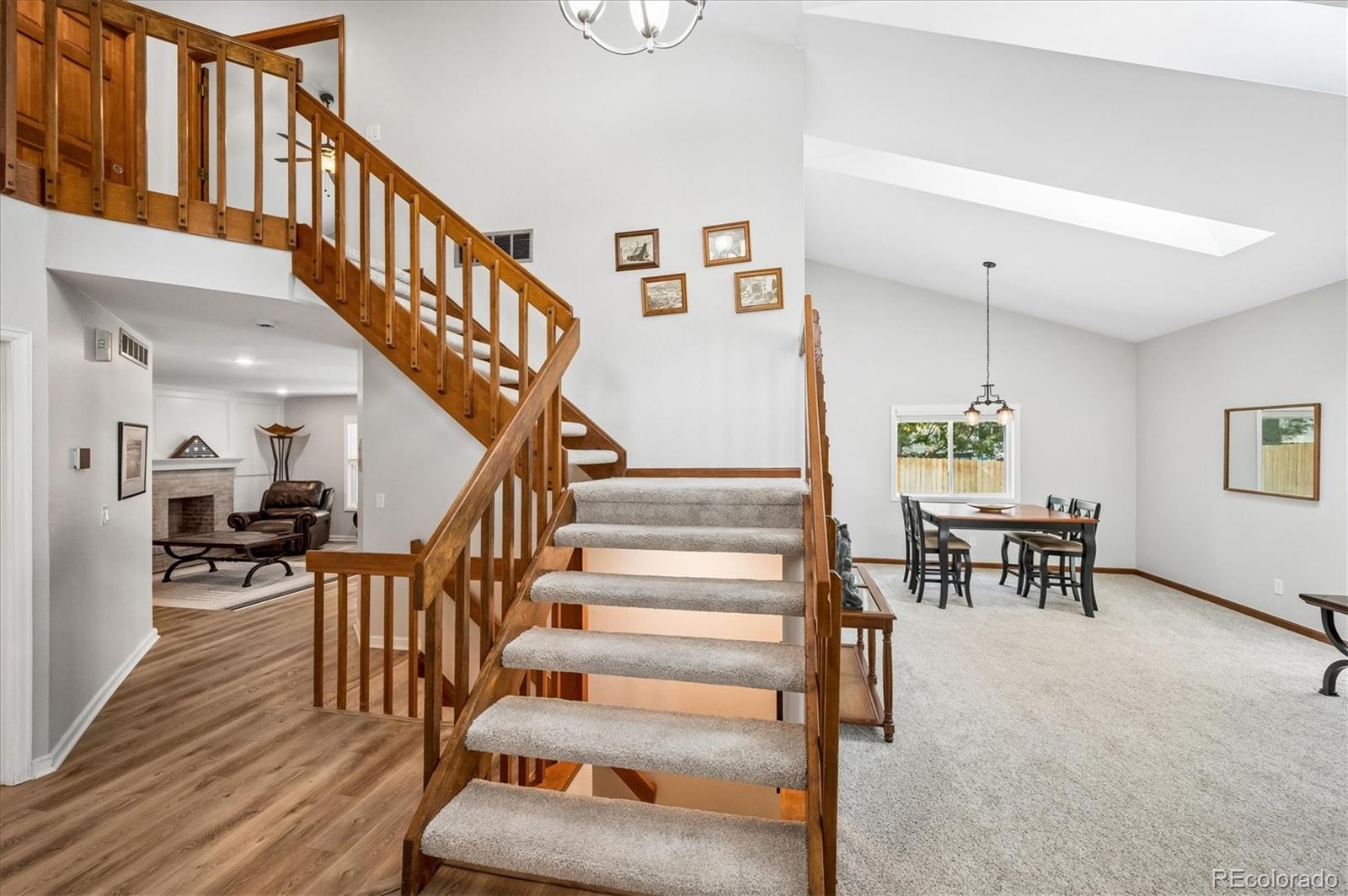 10003 Armadillo Drive