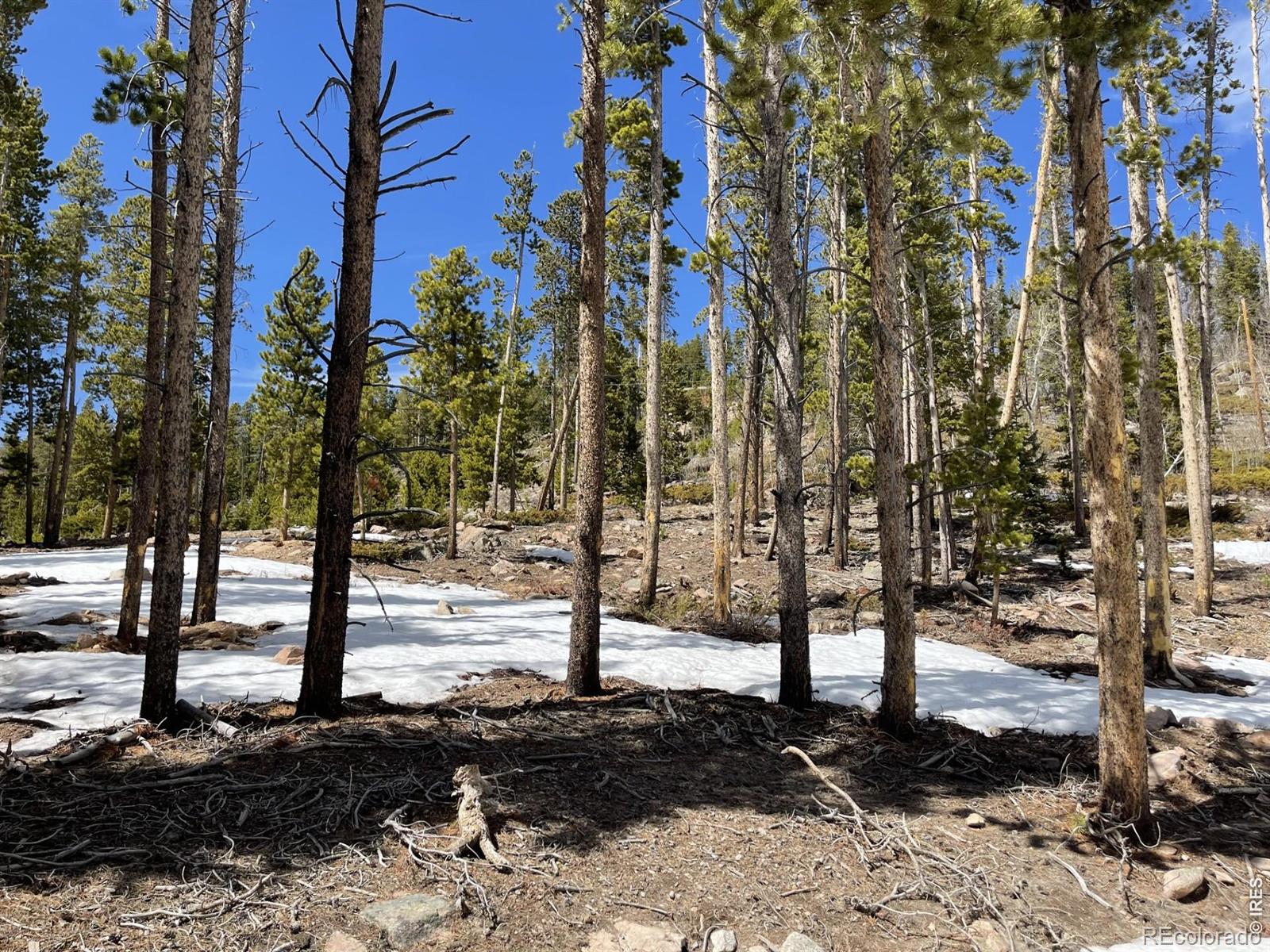 1374 Jicarilla Trail