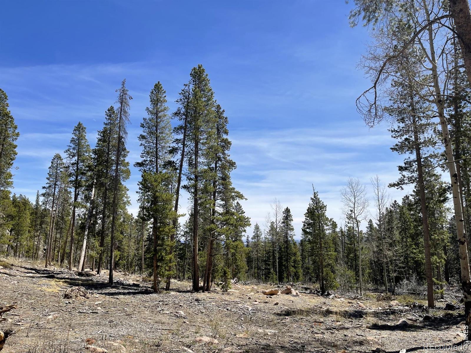 1374 Jicarilla Trail