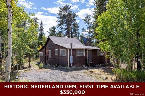 550 W Breed Street Nederland CO 80466