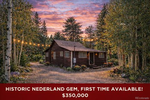 550 W Breed Street Nederland CO 80466