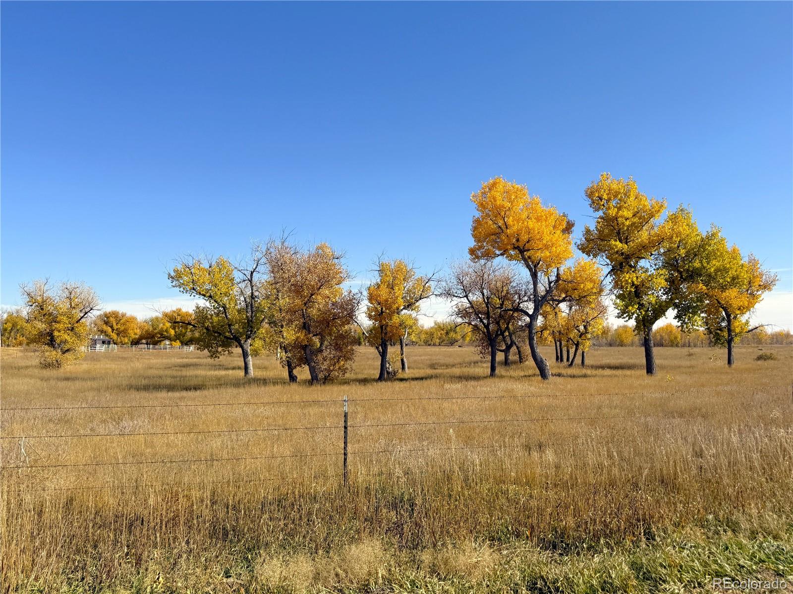 29100 County Road 183