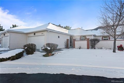 Photo of 3326 Soaring Bird Circle, Colorado Springs, CO 80920 (MLS # 3005938)