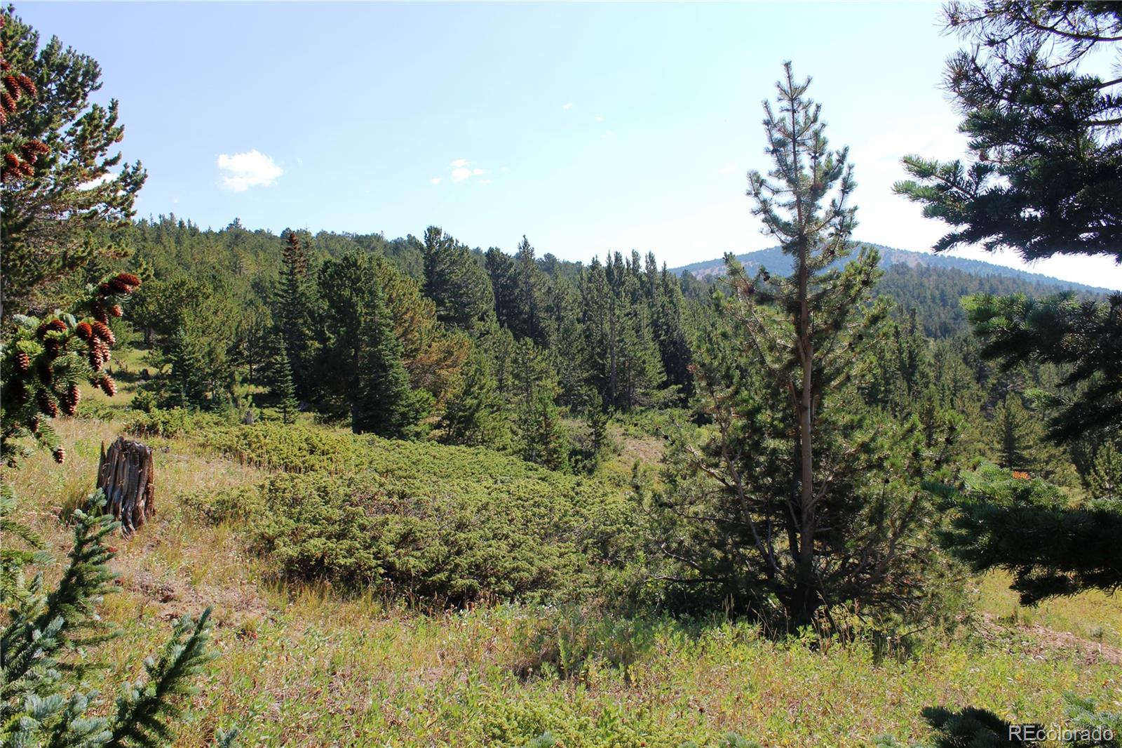 750 Mosquito Creek Road