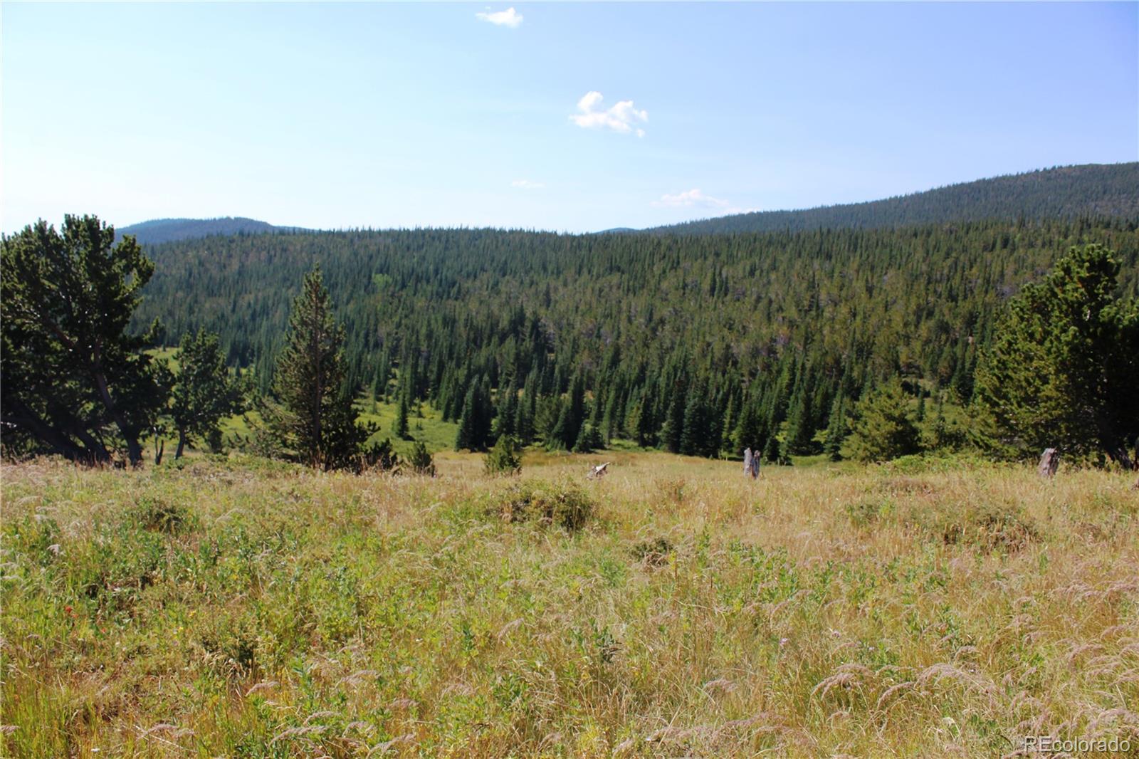 750 Mosquito Creek Road
