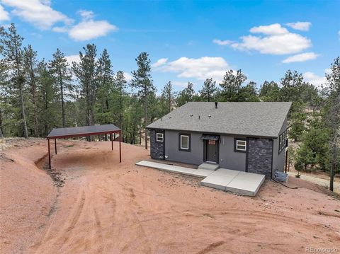 1328 N Mountain Estates Road Florissant CO 80816