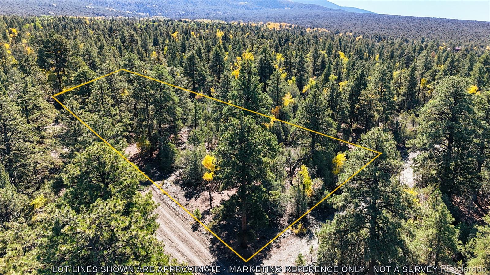 54 & 56 Big Bear Road