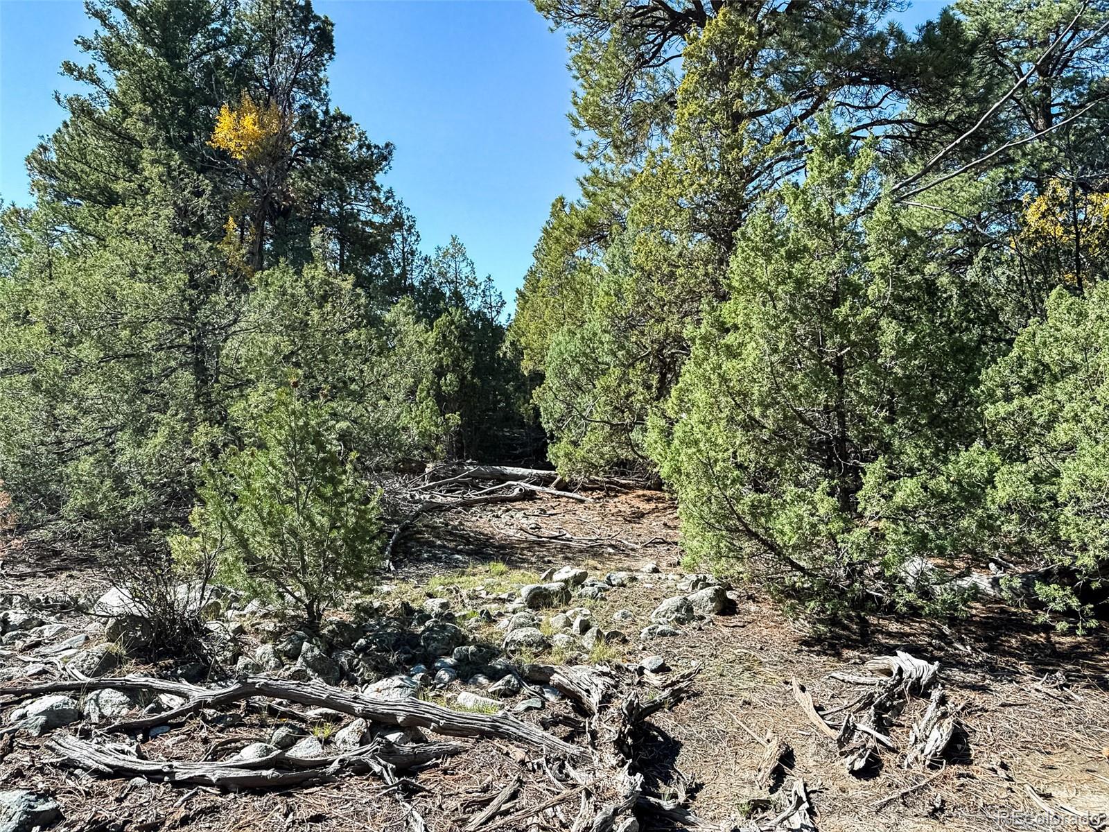54 & 56 Big Bear Road
