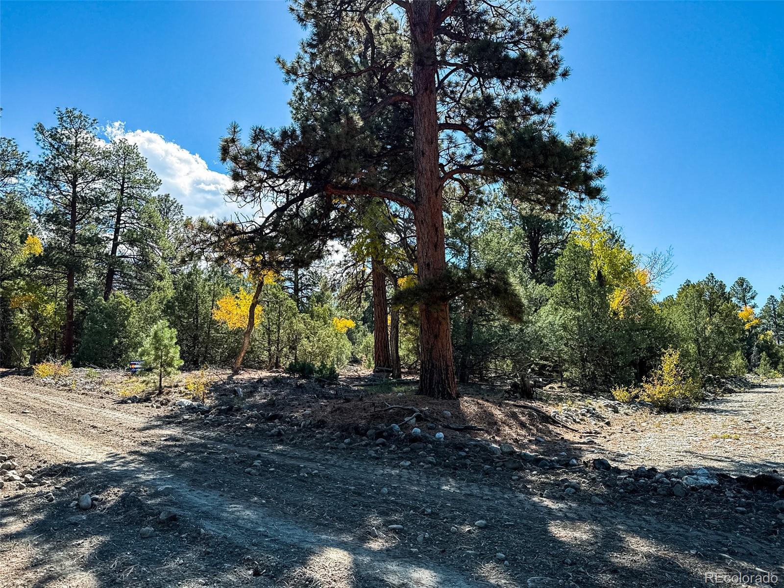 54 & 56 Big Bear Road