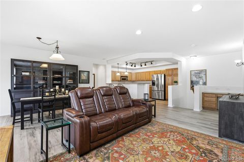 3851 Stonebrush Drive 11B Highlands Ranch Co 80126