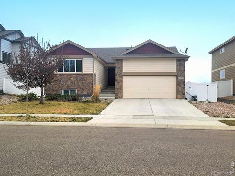 1113 Tur Street Severance CO 80550