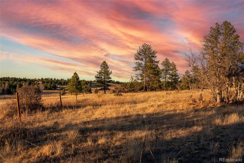 10421 Remmick Ridge Road Parker CO 80134