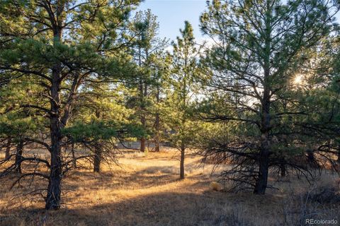 10421 Remmick Ridge Road Parker CO 80134