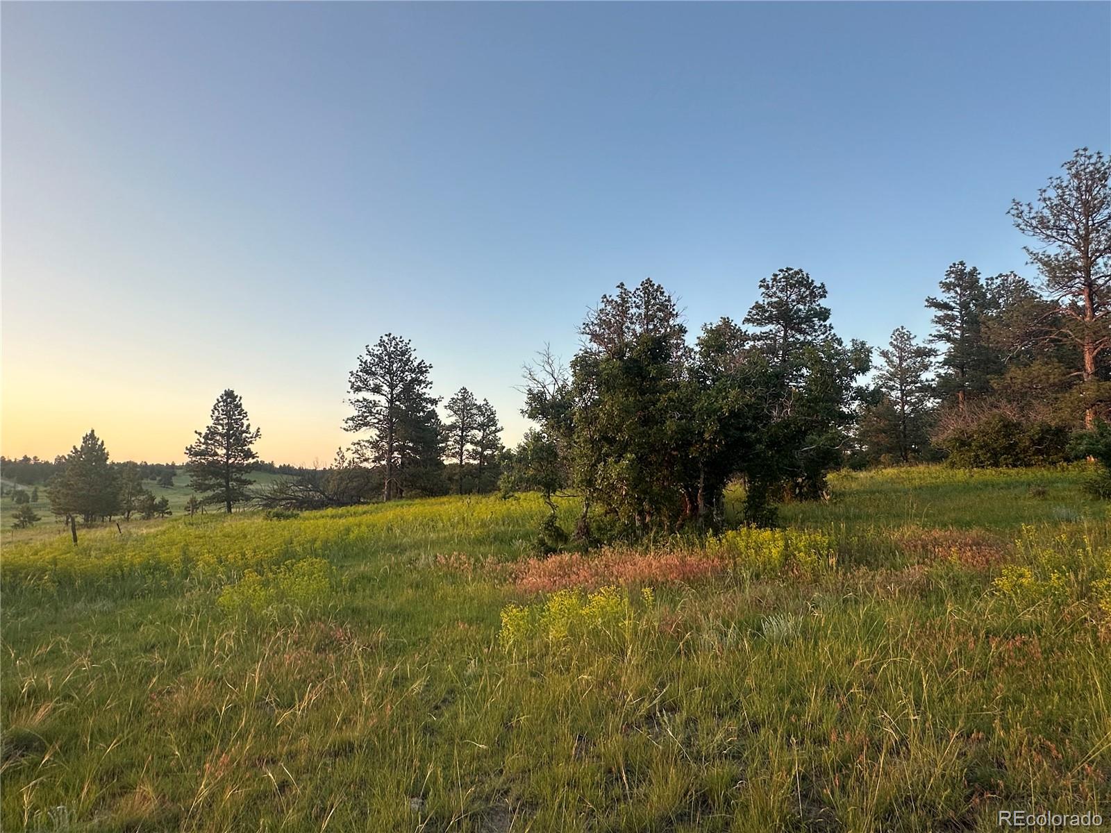 10421 Remmick Ridge Road