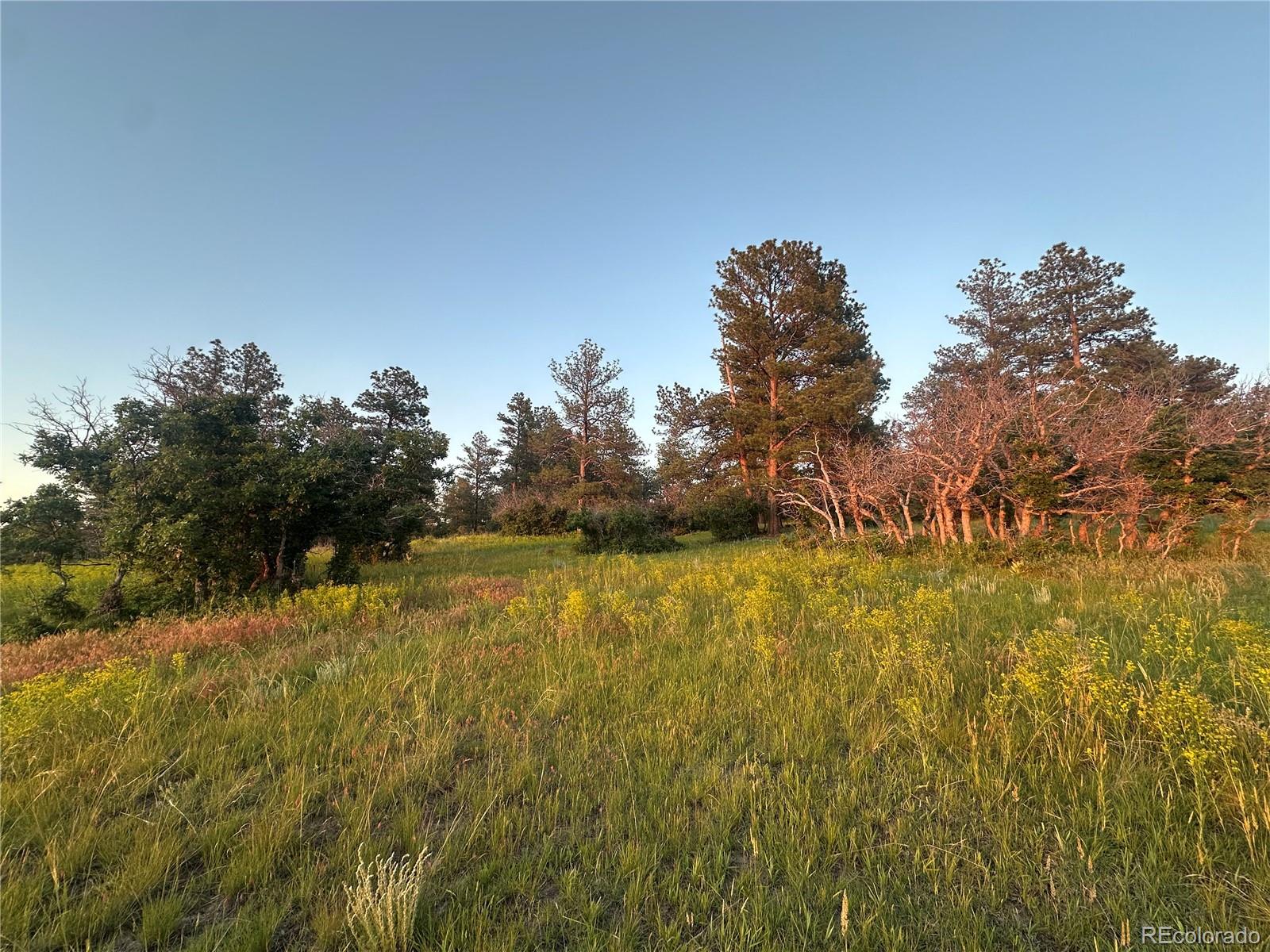 10421 Remmick Ridge Road