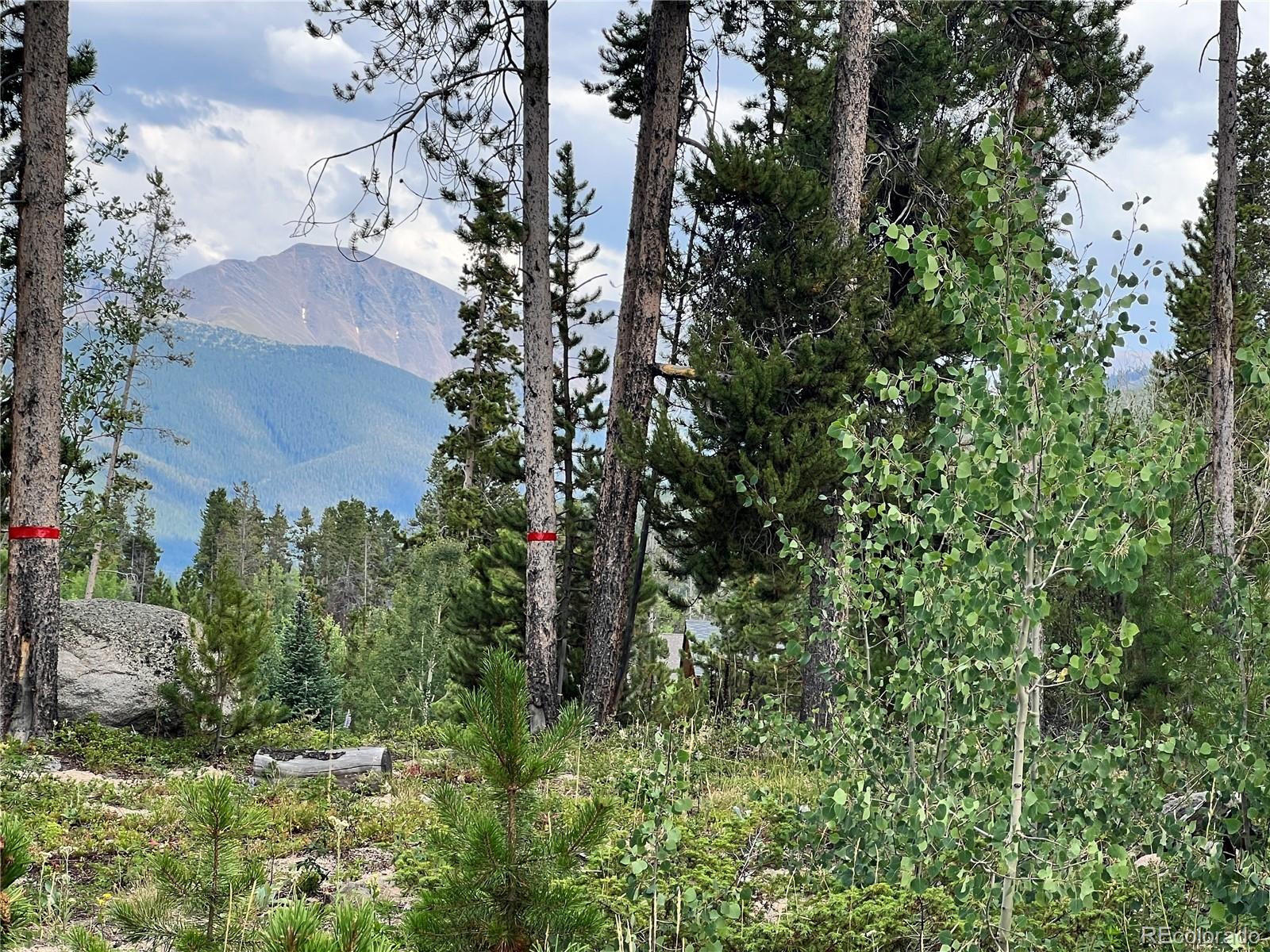 335 Moose Trail