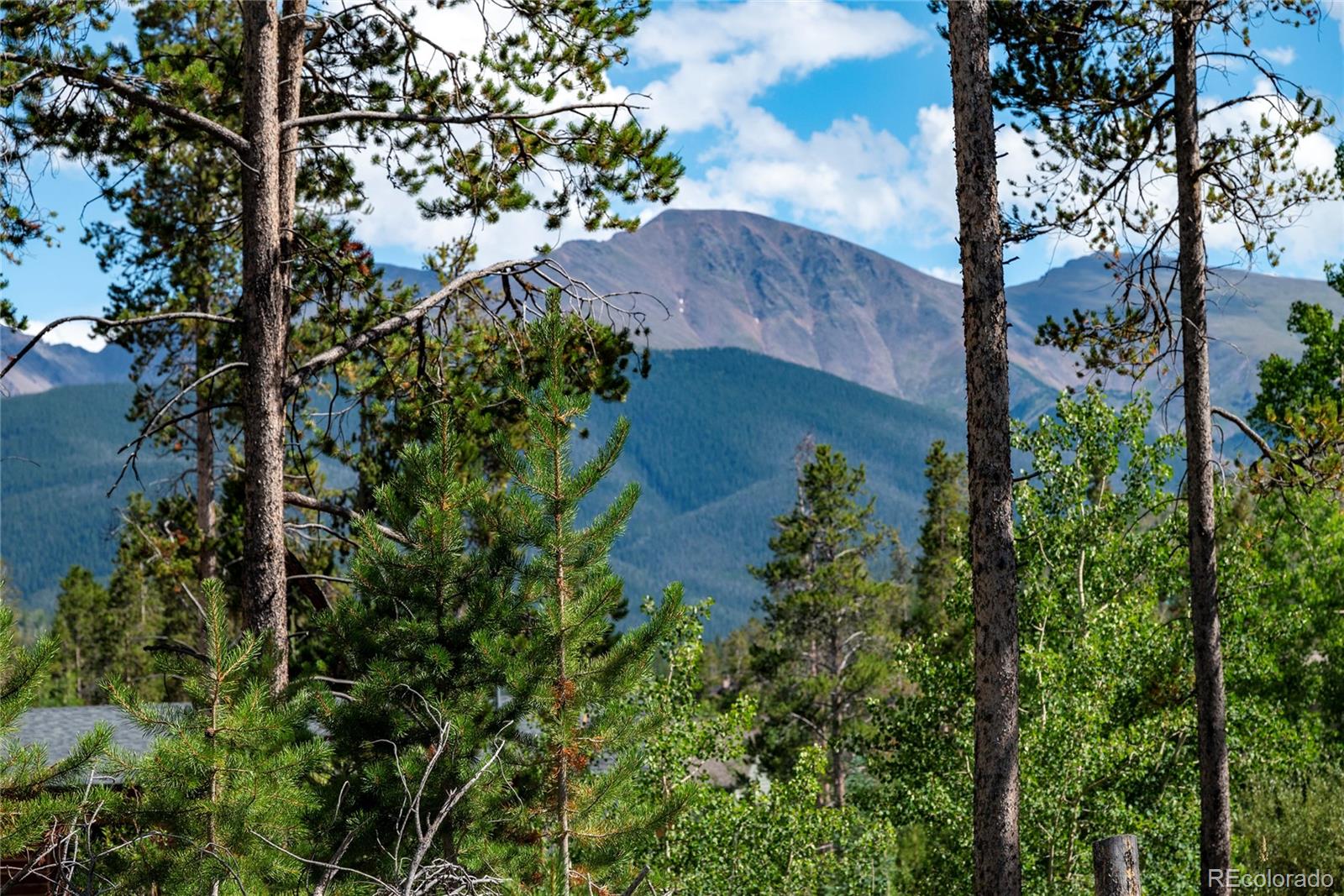 335 Moose Trail