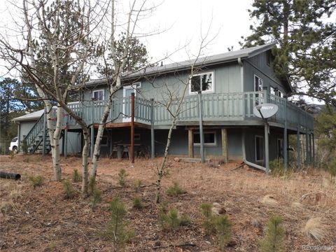 426 Houston Street Bailey CO 80421