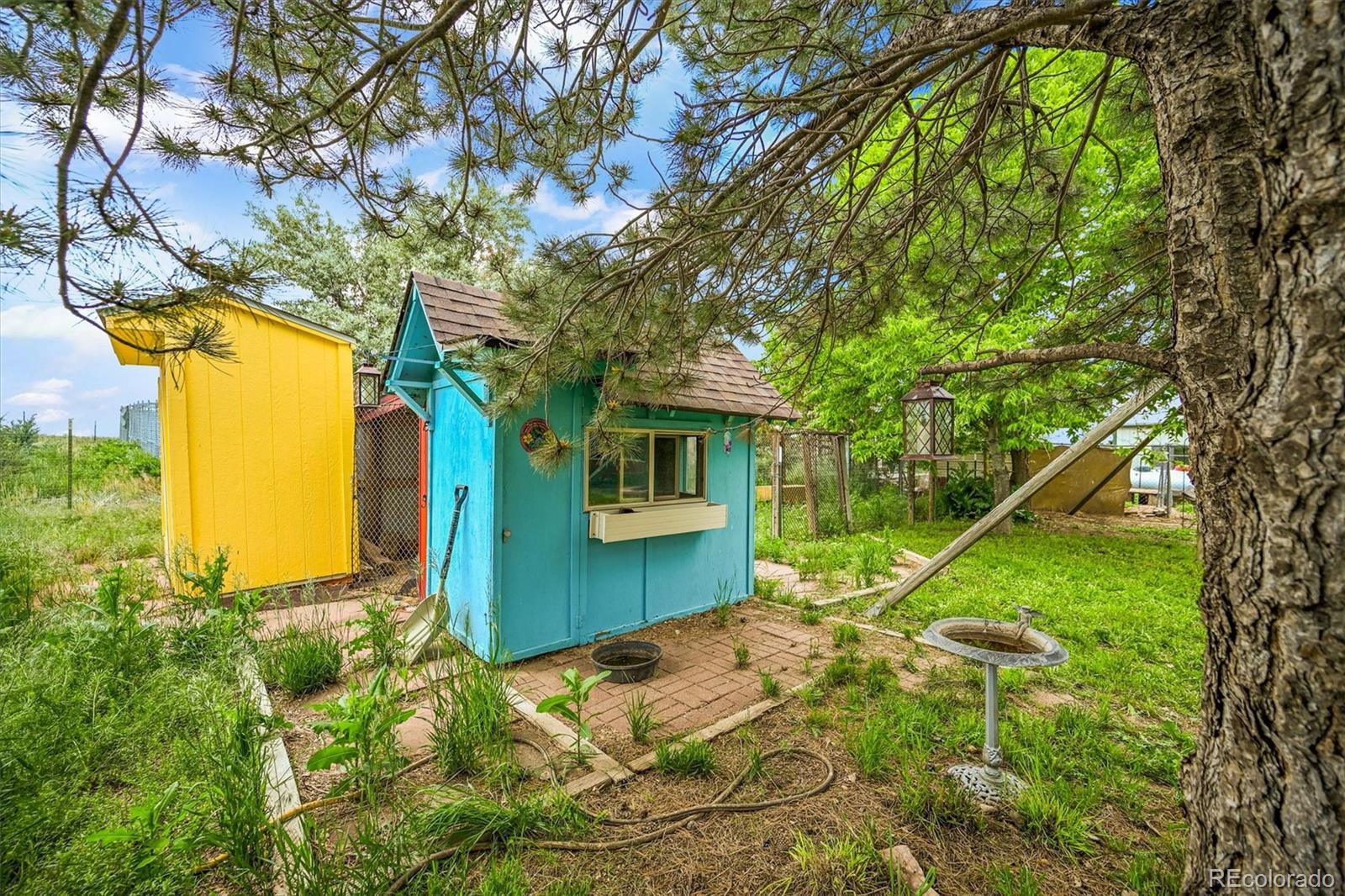 1335 S Kio St, Watkins, CO, 80137, USA, 4 Bedrooms Bedrooms, ,3 BathroomsBathrooms,Residential,Active,1335 S Kio St,4103757