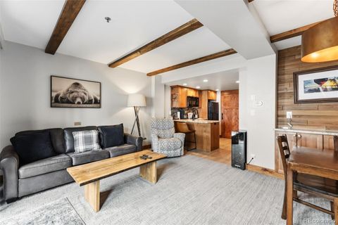 640 Village Road 4114 Breckenridge CO 80424