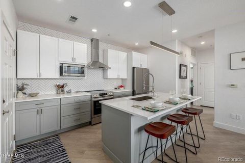 160 Village Road F207 Granby CO 80446