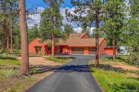 411 Spring Drive, Pine, CO 80470 - #: 3360506