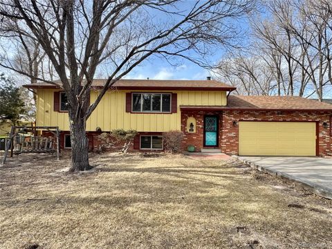 Photo of 463 N Washington Street, Monument, CO 80132 (MLS # 3481010)