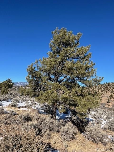 4850 Akers Fort Garland CO 81133