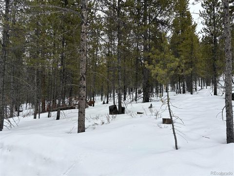 142 & 160 Mt Massive Road Twin Lakes CO 81251