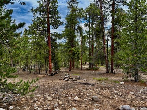 142 & 160 Mt Massive Road Twin Lakes CO 81251