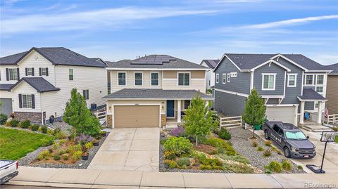 5465 Gray Wolf Lane Castle Rock CO 80104
