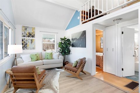 560 S Pine Drive Bailey CO 80421