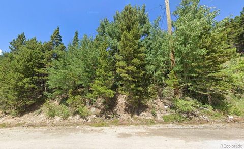 123 Nebraska Drive Idaho Springs CO 80452