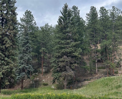 5190 COUNTY RD 73, EVERGREEN, CO 80439 - Image f07bebde9dccefa3d9a3bfcc10d4046e/3917572687