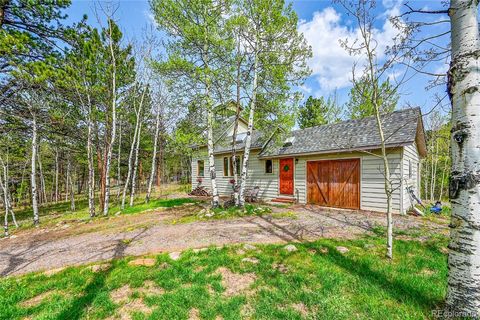 101 Campbell Road Bailey CO 80421