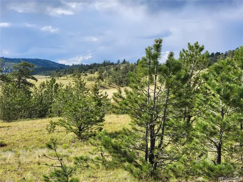 1117 Larimer Drive, Hartsel, CO 80449 - #: 7045813